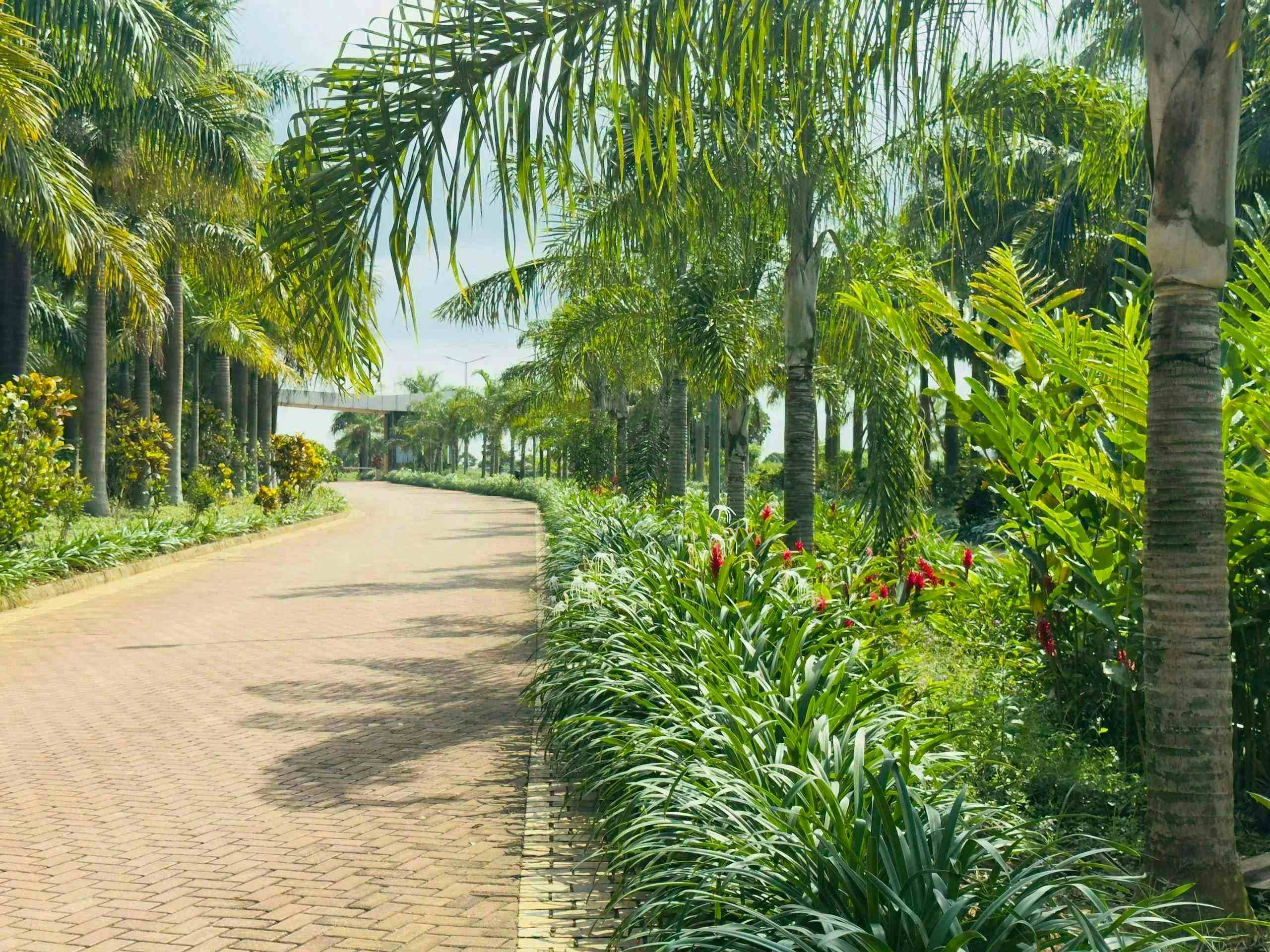 Image of houses for Sale in Busiiro, Uganda