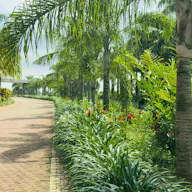 Image of houses for Sale in Busiiro, Uganda