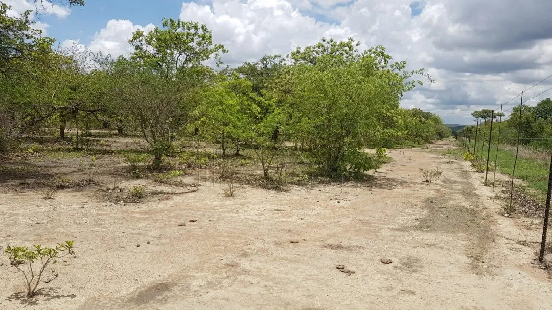 Image of land for Sale in Zambia