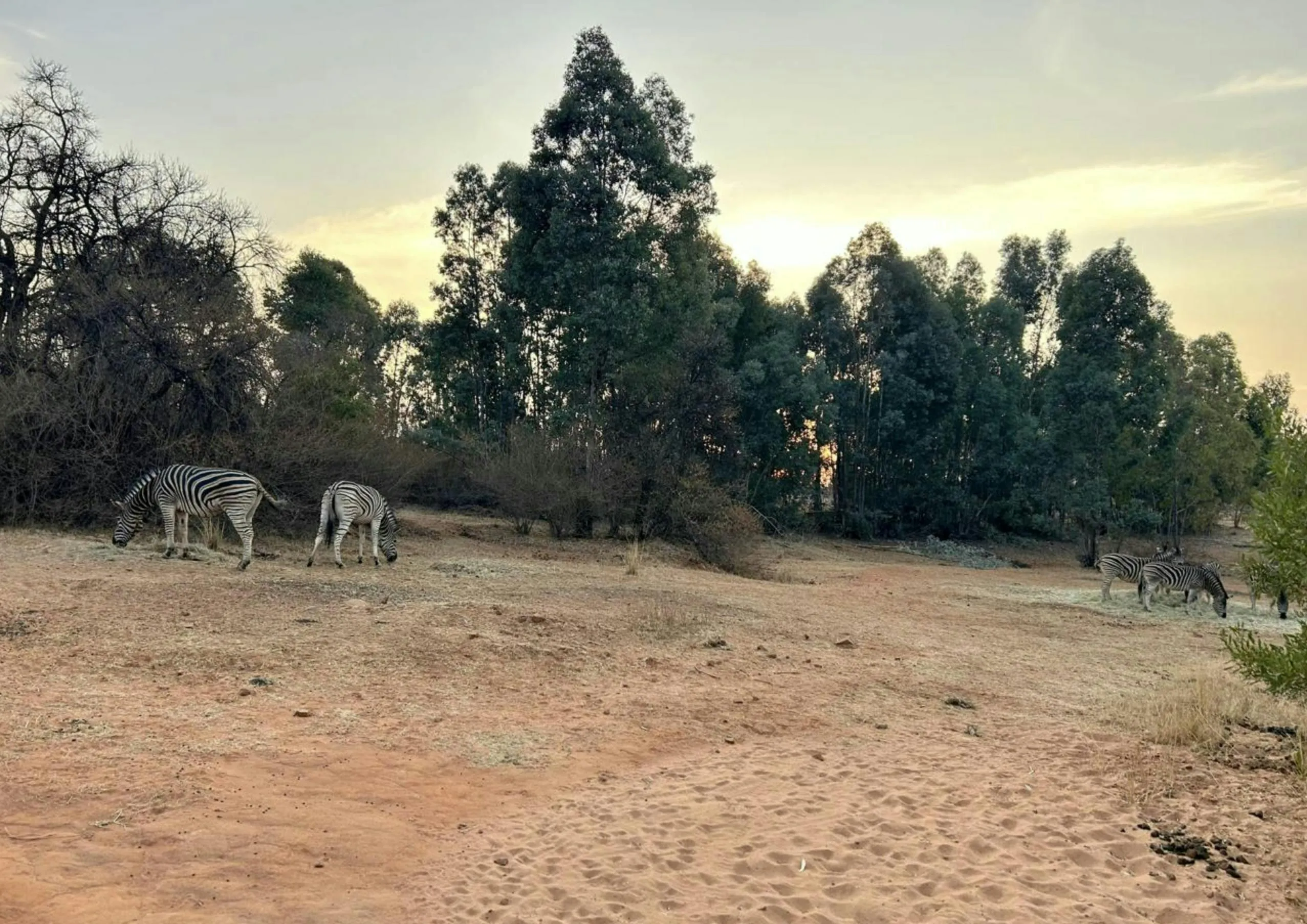 Image of land for Sale in Tshwane, South Africa
